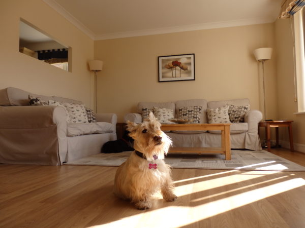 Pet friendly holiday let Whitby, Whitby holiday apartment