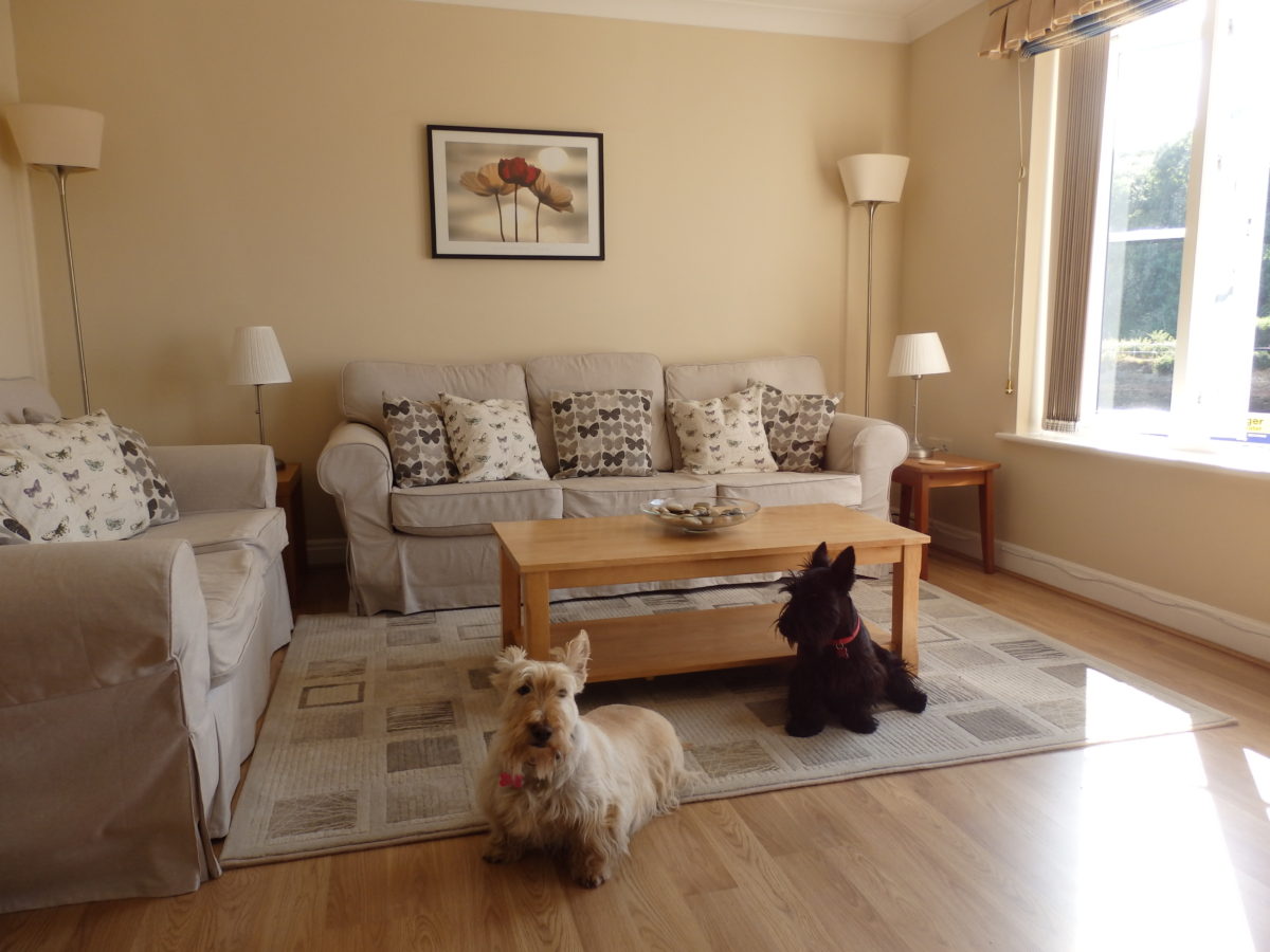 Pet friendly holiday apartment Whitby, Whitby holiday let with parking, Riverside apartment Whitby