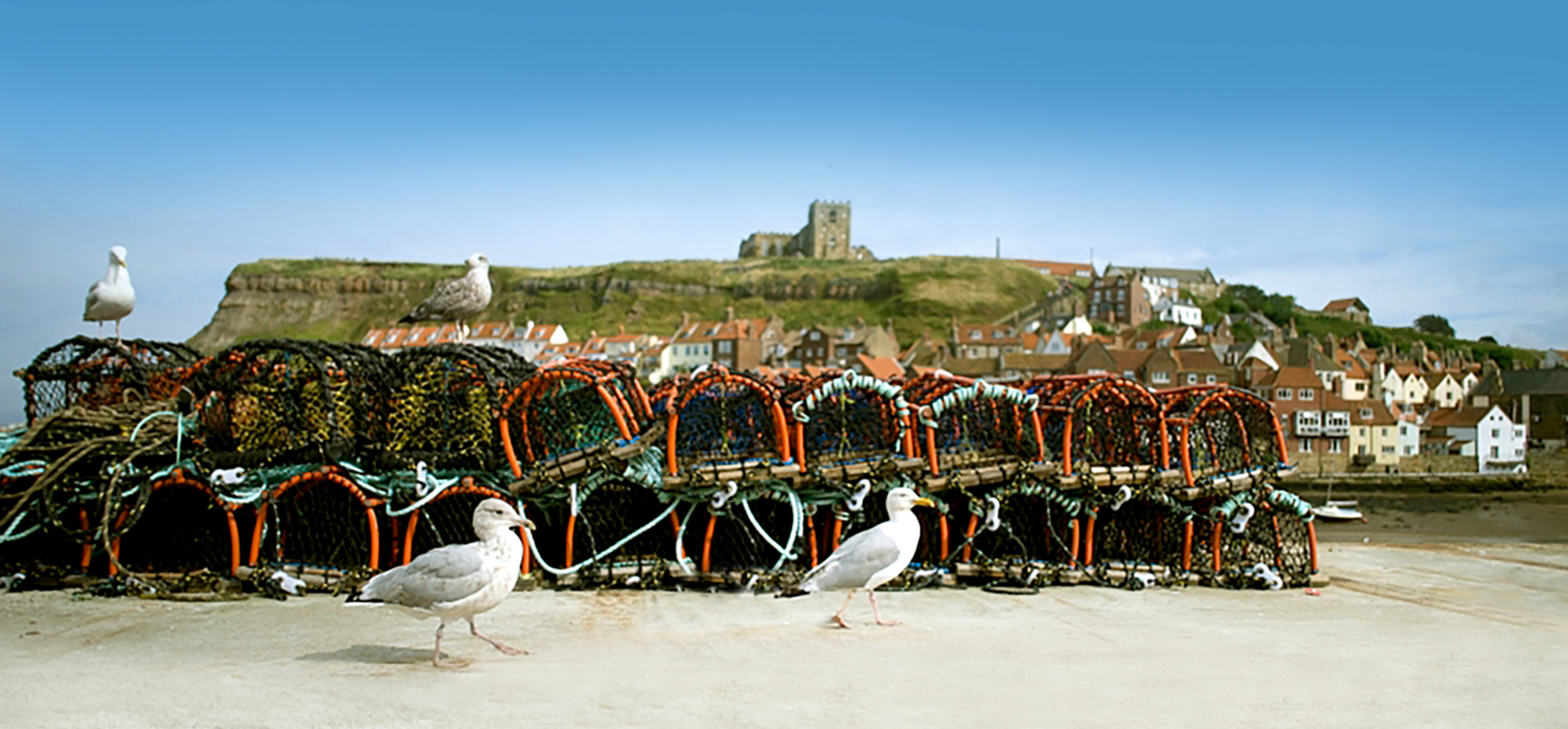 Shoreline Cottages Whitby Cottages Holidays At Their Best