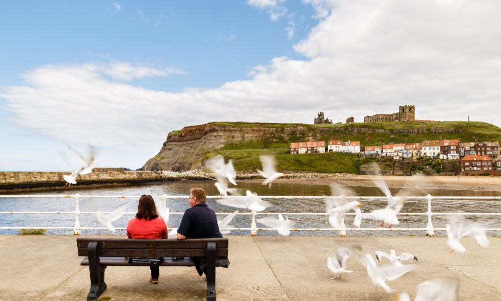 couple sat on bench as flock of seagulls takes flight
