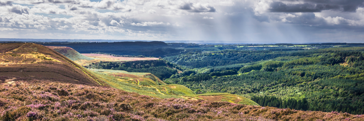 North Yorkshire Moors