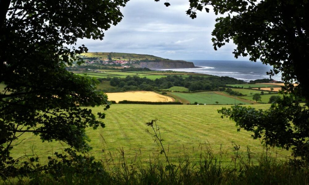 Yorkshire coast