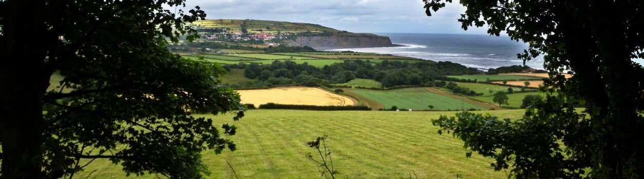 Yorkshire coast