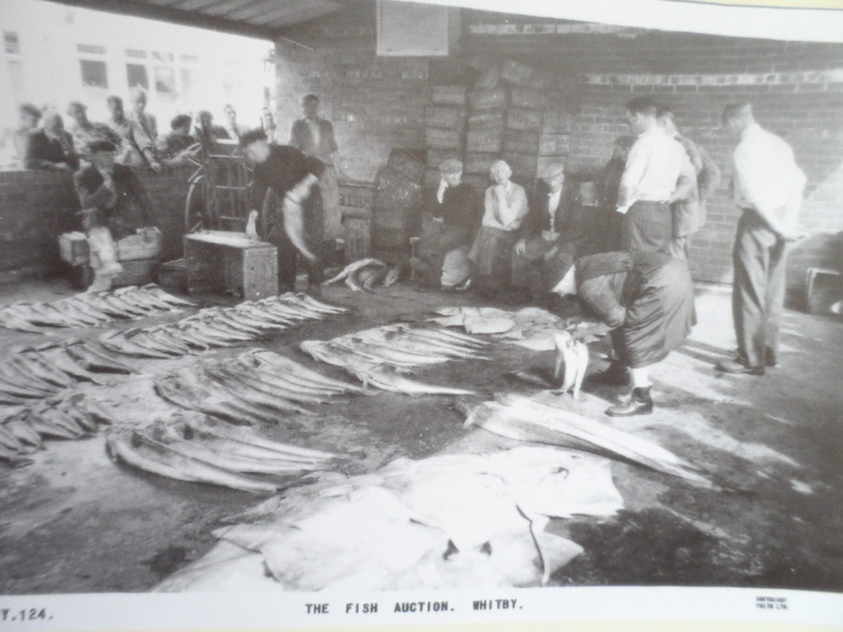 Whitby history in postcards - old postcards of Whitby - Shoreline