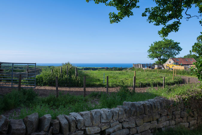 holiday cottage Lythe, yorkshirecoast holiday cottage, dog friendly cottage yorkshire coast