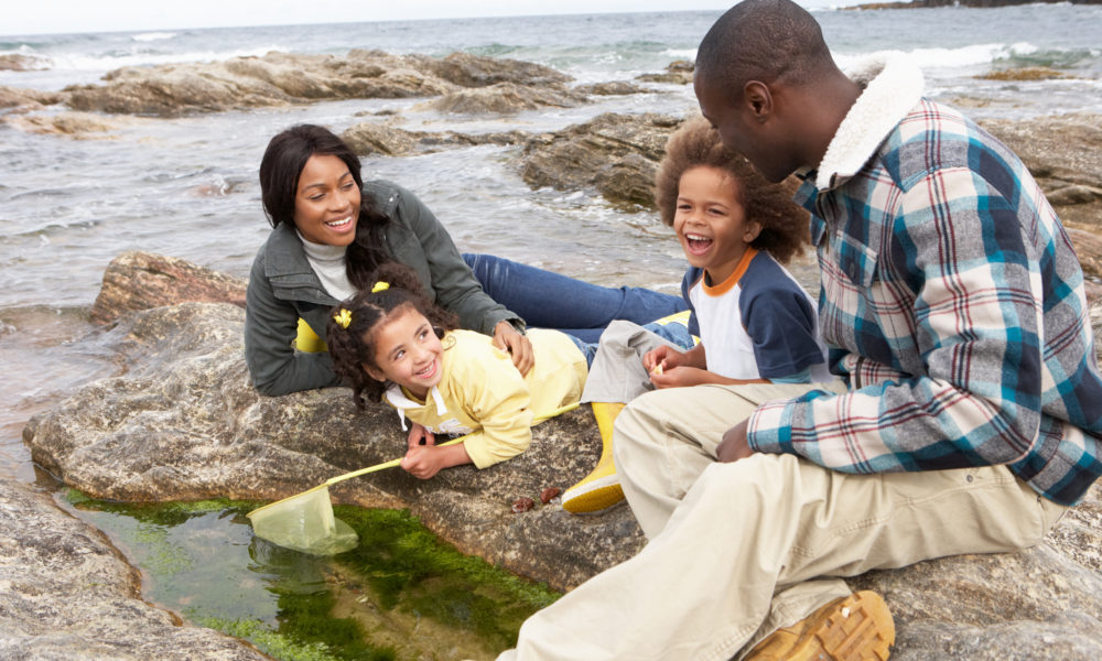 A family rockpooling