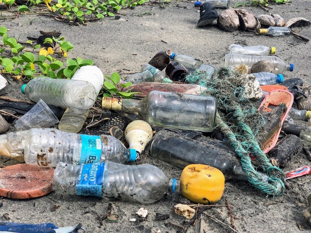 Beach Clean Whitby