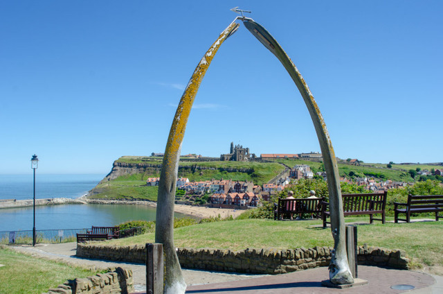 Whitby Whalebones