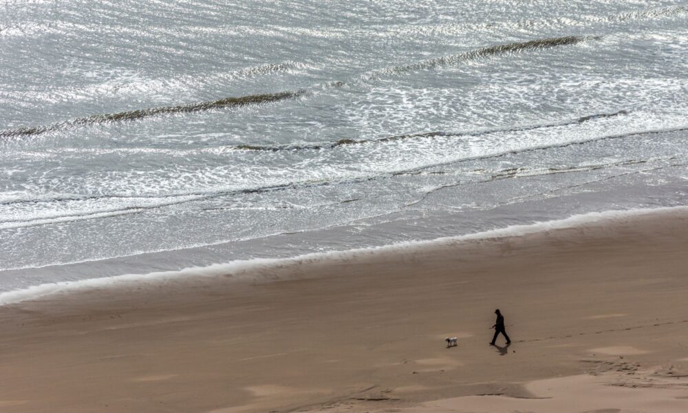 Best Dog Walks in and Around Whitby