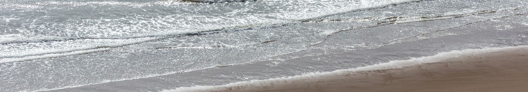 Best Dog Walks in and Around Whitby