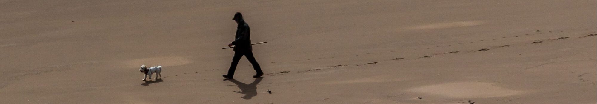 Best Dog Walks in and Around Whitby