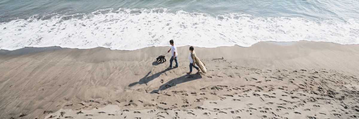Happy dog being walked on Whitby beach