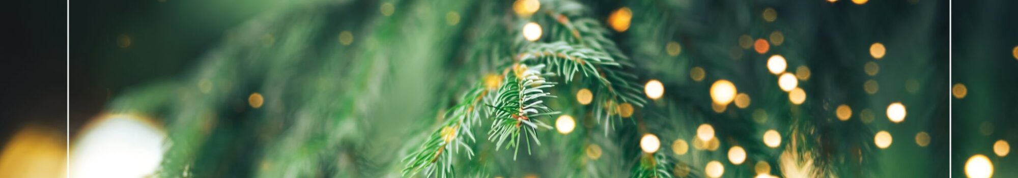 10% OFF all remaining Christmas Breaks in Whitby