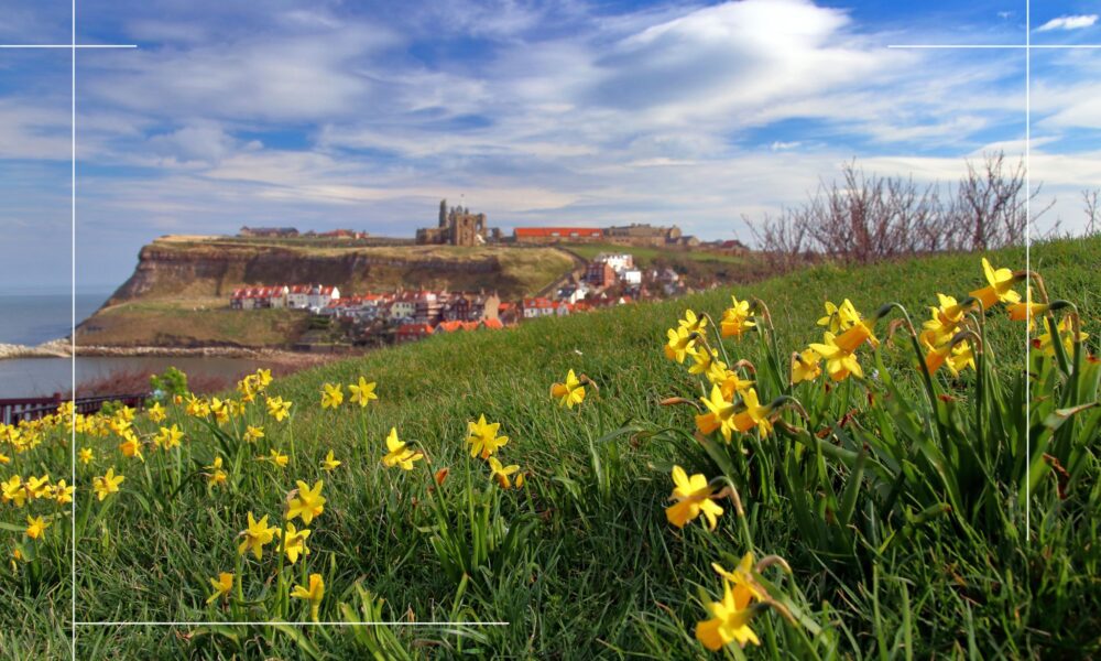 Whitby in Spring