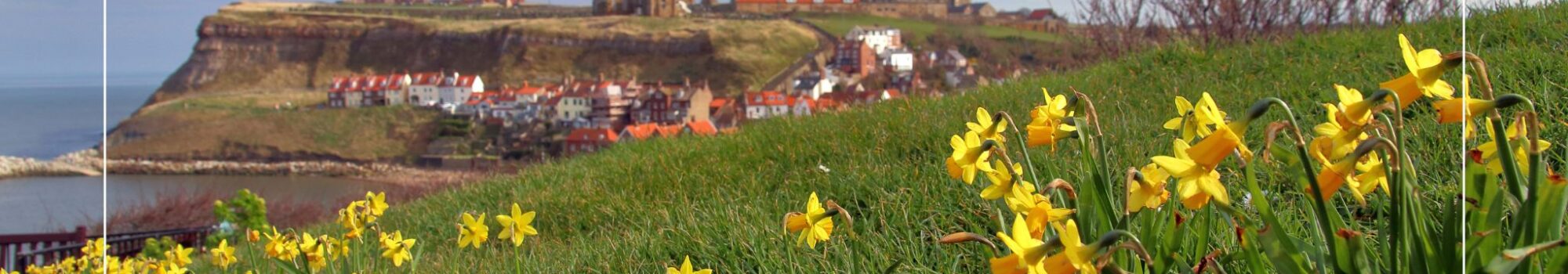 Whitby in Spring