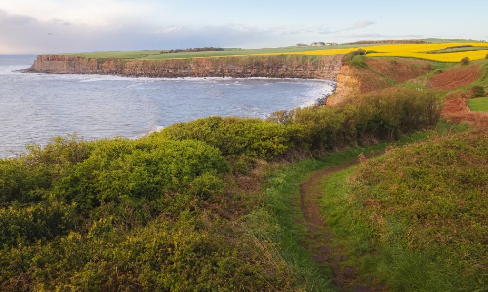 View from the Cleveland Way walk