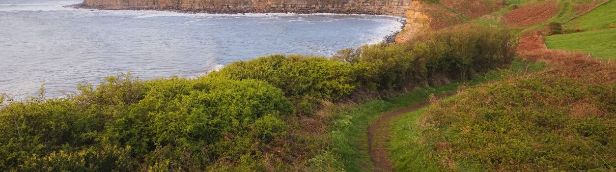 View from the Cleveland Way walk